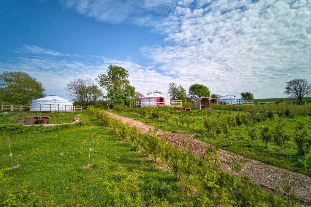 Glamping Yurts Near Newquay *