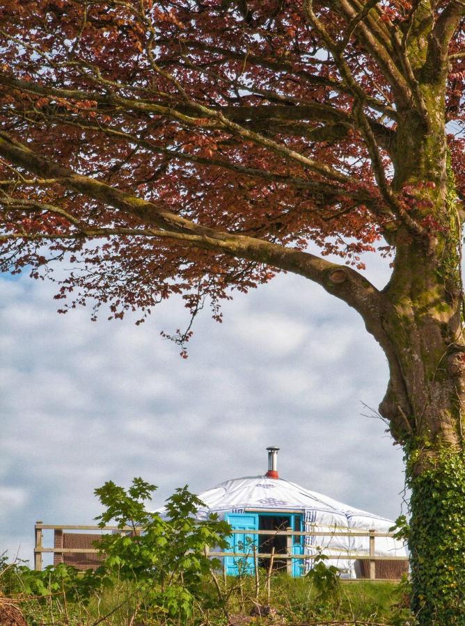 Luxury tent Glamping Yurts Near Newquay *