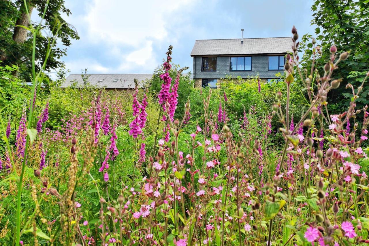 Glamping Yurts Near Newquay Luxury tent Newquay (Cornwall)