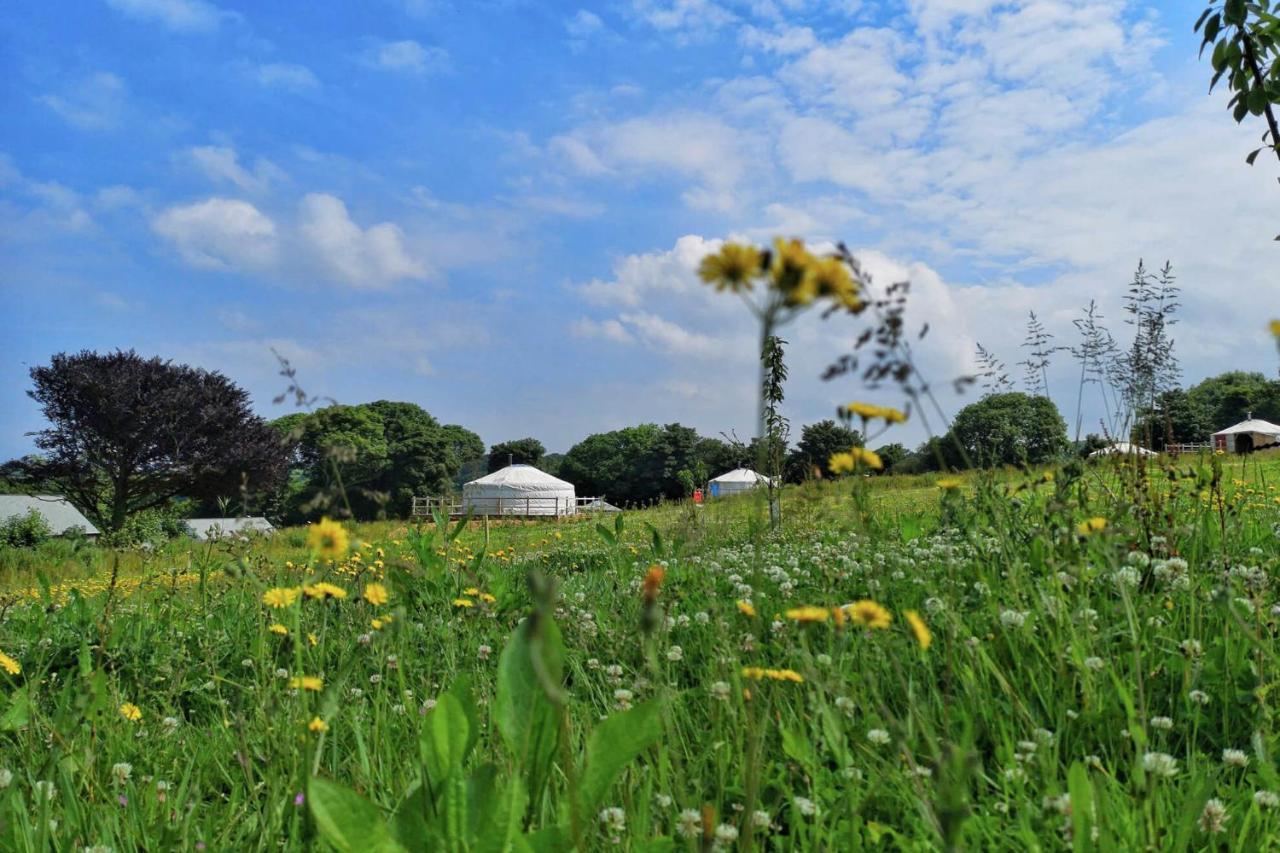 Glamping Yurts Near Newquay *