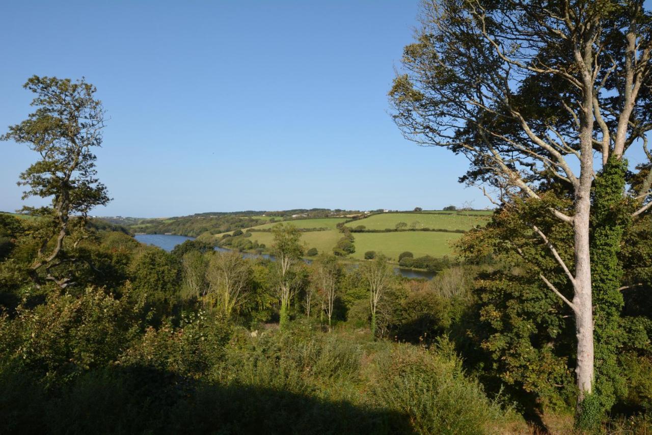 Luxury tent Glamping Yurts Near Newquay Newquay (Cornwall)