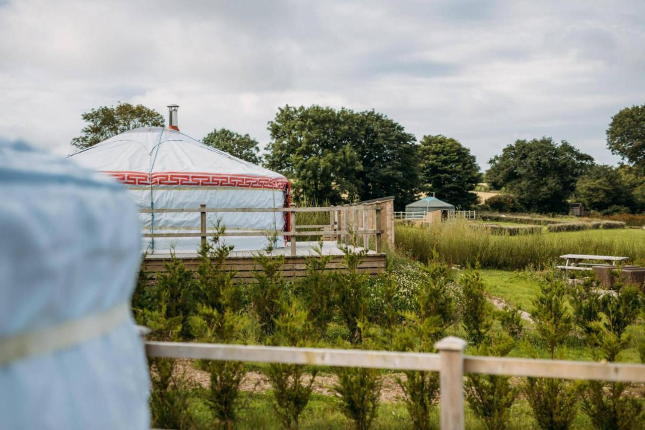 Glamping Yurts Near Newquay * Newquay (Cornwall)