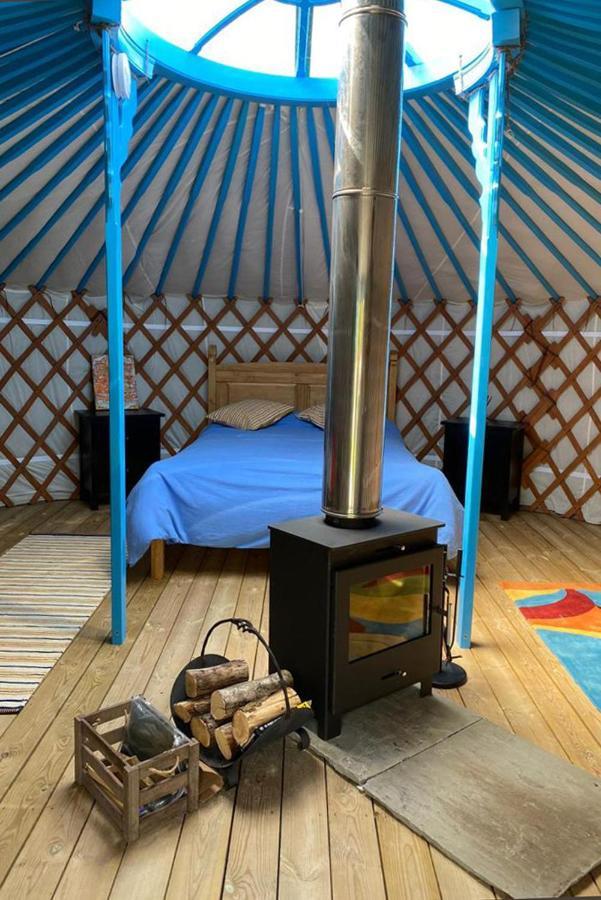 Luxury tent Glamping Yurts Near Newquay Newquay (Cornwall)