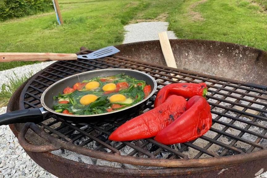 Glamping Yurts Near Newquay