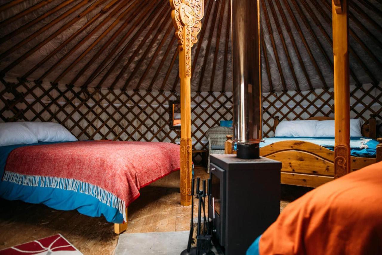 Luxury tent Glamping Yurts Near Newquay