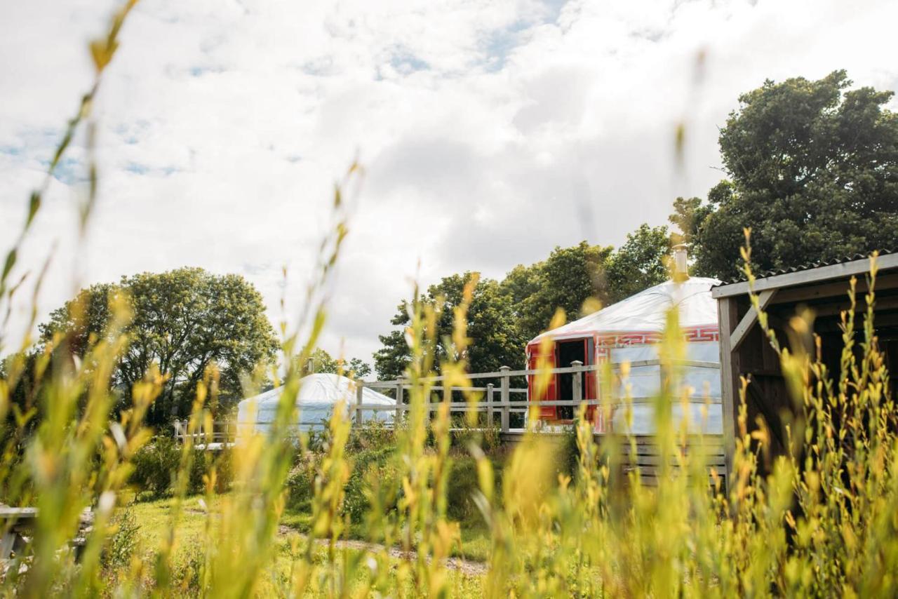 Glamping Yurts Near Newquay Luxury tent Newquay (Cornwall)