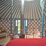 Glamping Yurts Near Newquay