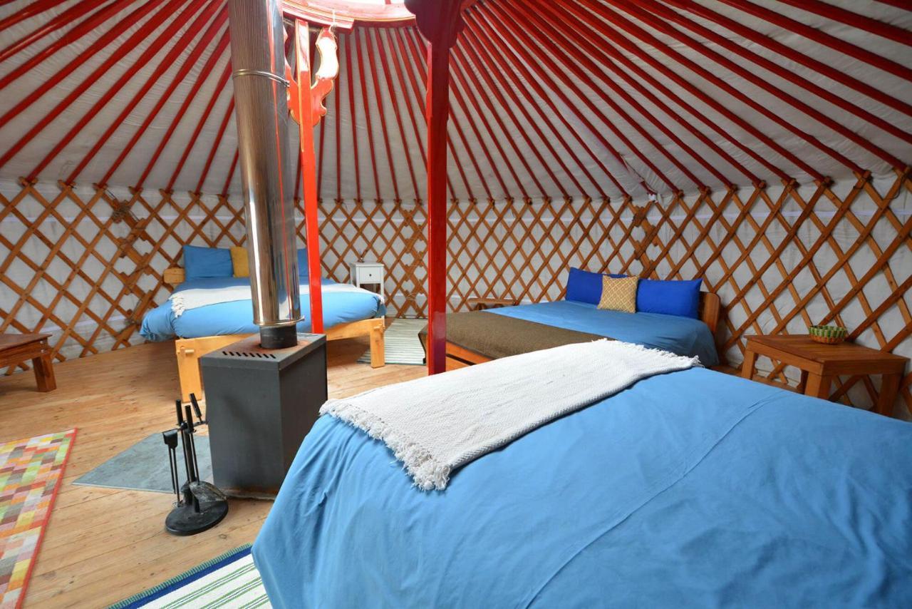 Glamping Yurts Near Newquay Newquay (Cornwall)