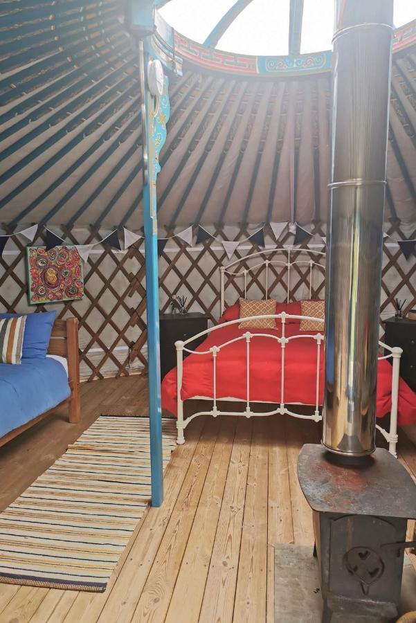 Luxury tent Glamping Yurts Near Newquay